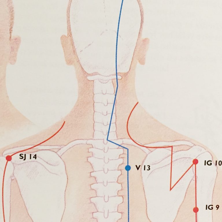 https://www.acupedia.ca/acupedia/2022/04/06/points-dacupuncture-2/